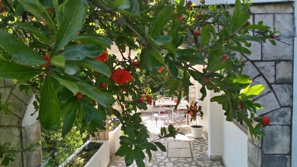 House Orange Apartments Herceg Novi Exterior foto